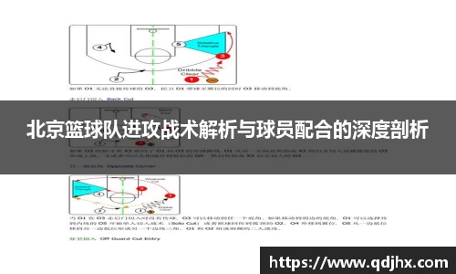 球盟会官网入口球盟会官方网站